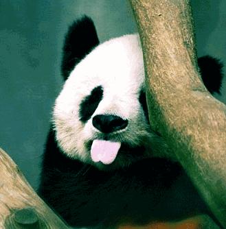 都江堰高铁怎么买票,都江堰高铁票在哪里买