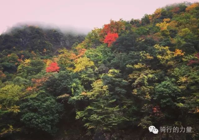文县天池之美,美丽的文县天池山色空蒙湖水清澈