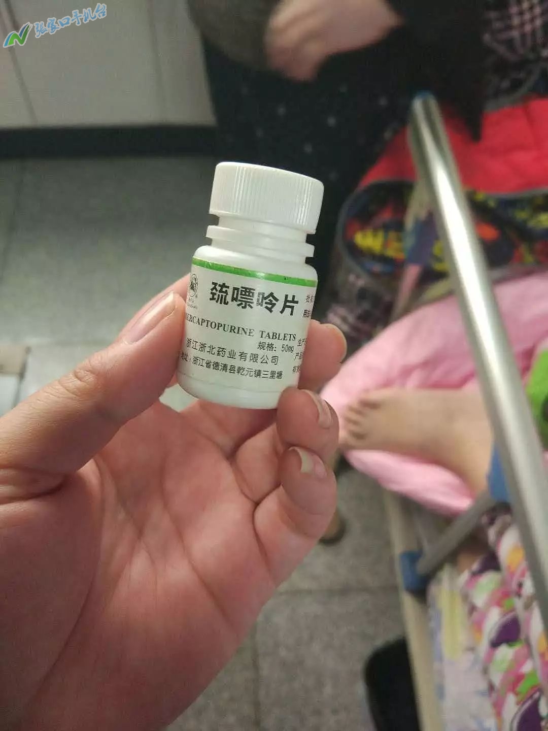 手机版张家口新闻网,张家口新闻头条视频