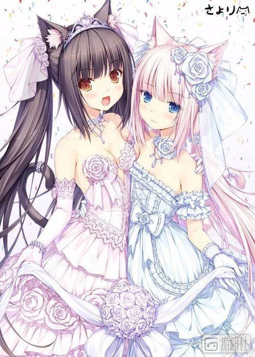 steam七大神作中的猫,steam四大名著中的猫