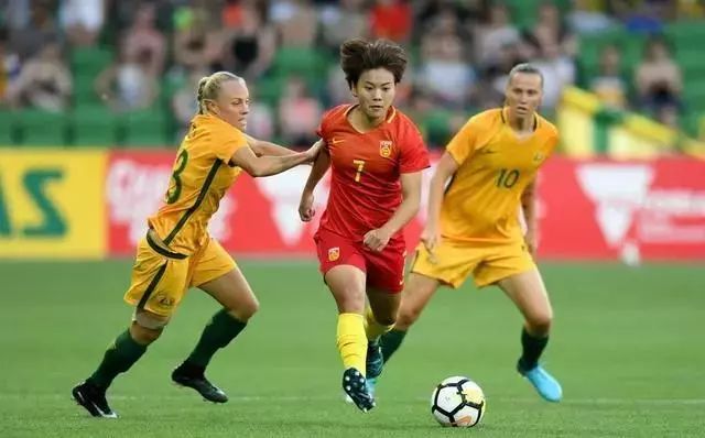 鸿雁知天下,鸿雁知天下最新新闻