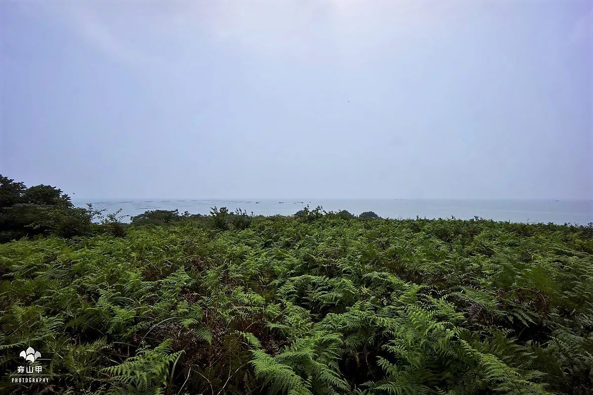 江苏省太湖一座小岛,太湖两个小岛