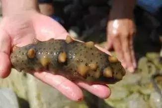 辽宁各地美食分布图,辽宁美食攻略大全