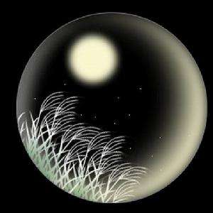 但愿人长久千里共婵娟大概的意思,但愿人长久千里共婵娟背后的意思