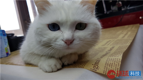 三星galaxys拍照评测,三星拍照vs苹果拍照