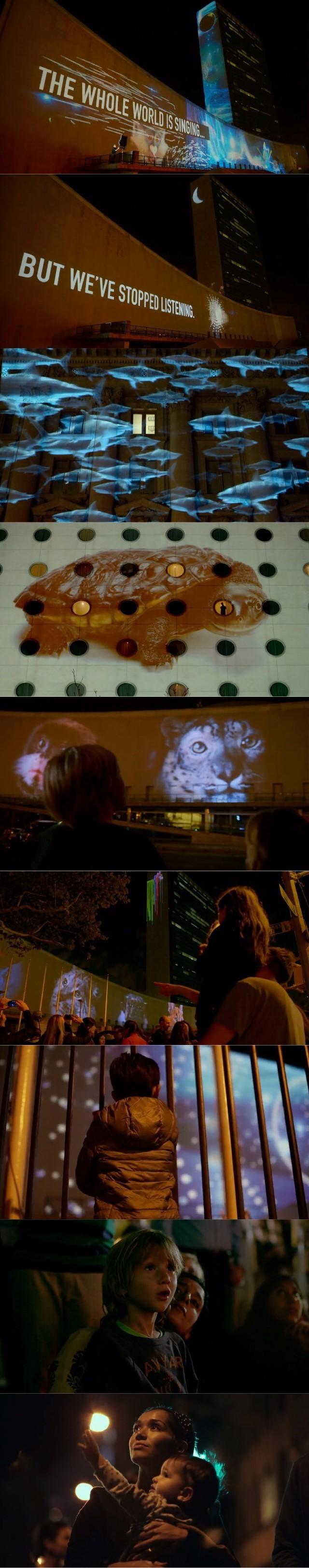 推荐｜《竞相灭绝》：与物种灭绝竞速的死亡赛跑