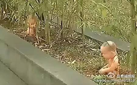 这是艺术？|美院学生让花坛“长”娃娃寓意破土而生？多少人的审美观崩塌了