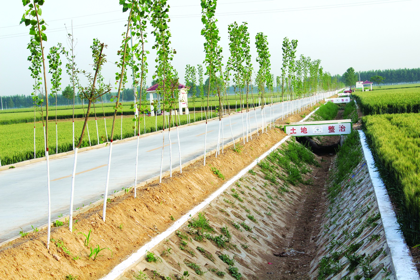 新乡市粮食信息,新乡粮食生产高质量发展路径研究