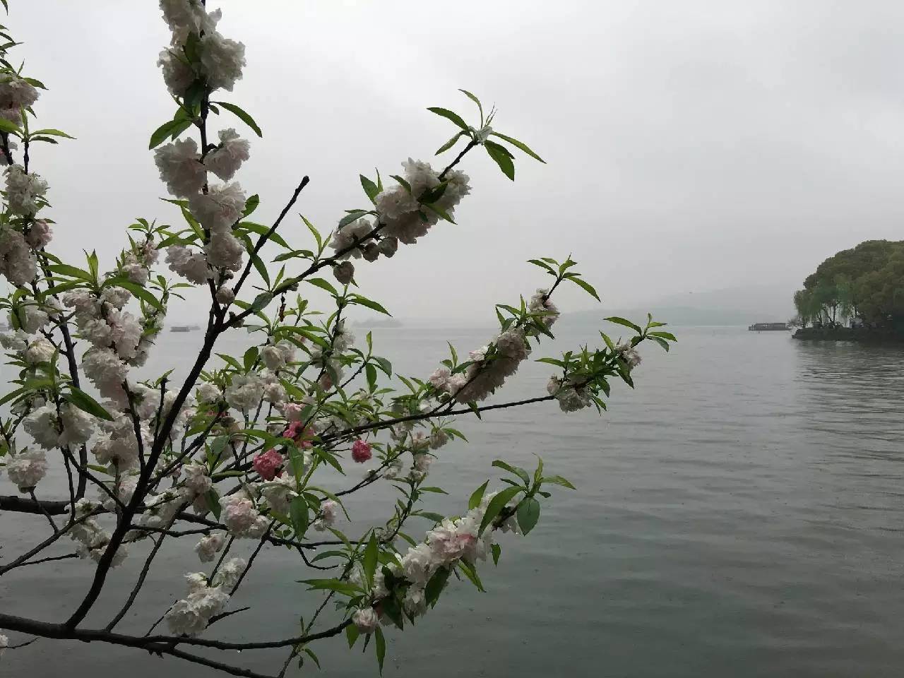 缇庝附瑗挎箹娣卞害瑙ｆ瀽,缇庝附瑗挎箹娴欐睙