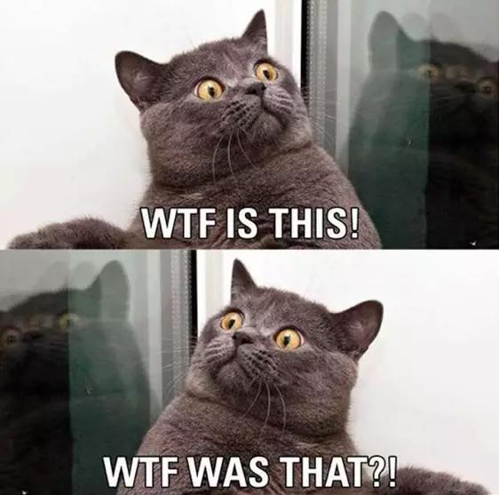 车猫二手车怎么样,车猫二手车有啥猫腻