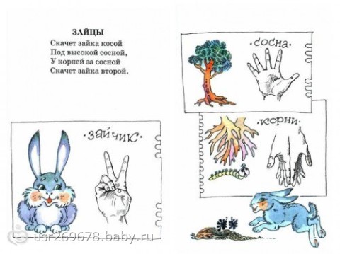 各个国家手指操,全套手指操