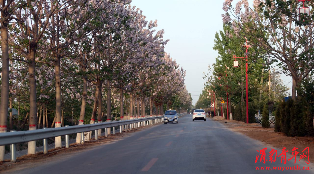 大荔县许庄镇美丽乡村,大荔县许庄镇全景图