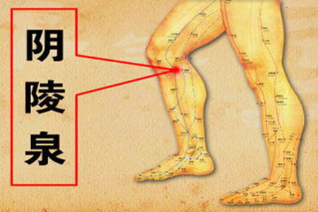 谷雨季节吃什么健脾祛湿,谷雨季节吃什么补脾胃