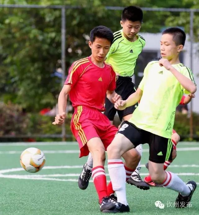 白云区第九届中小学生足球联赛,钦州儿童足球邀请赛