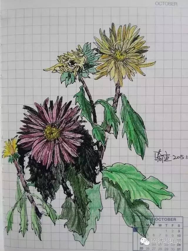 带上手鼓去旅行,带着旅行箱去旅行绘画