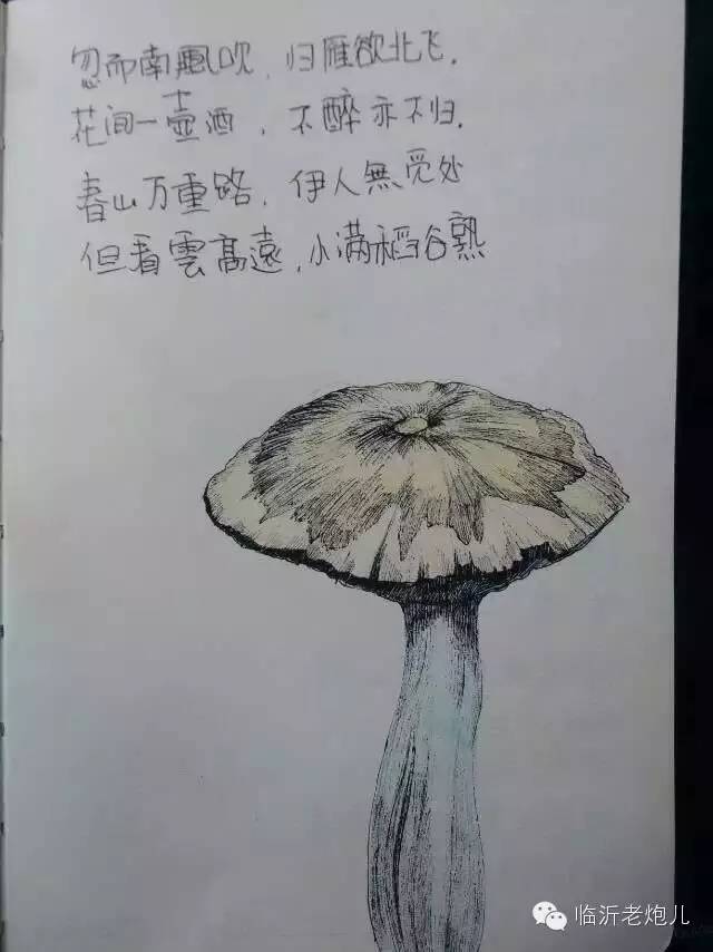 带着书本去旅行绘画,带着旅行箱去旅行绘画