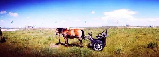 带宝宝出游必备清单,懒人带娃出游攻略