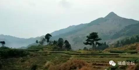 福鼎市区的山,福鼎市最值得爬山的地方