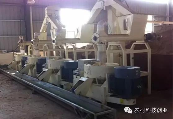 农村新商机小本创业,适合农村创业的小本点子