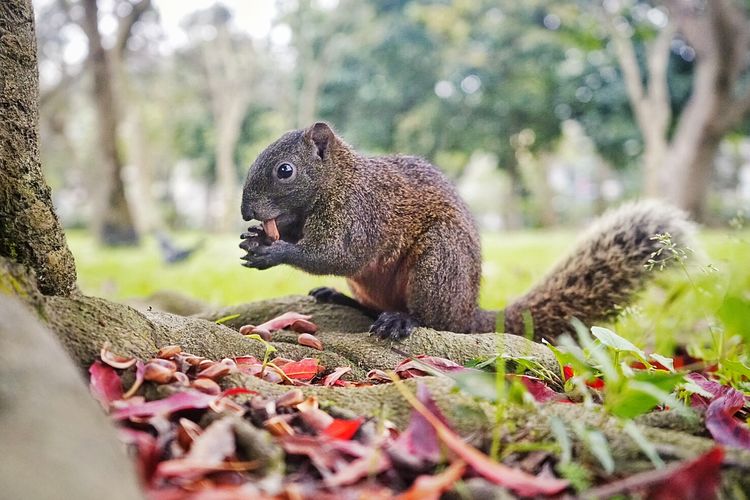 台湾游记自由行,台湾环岛旅行记