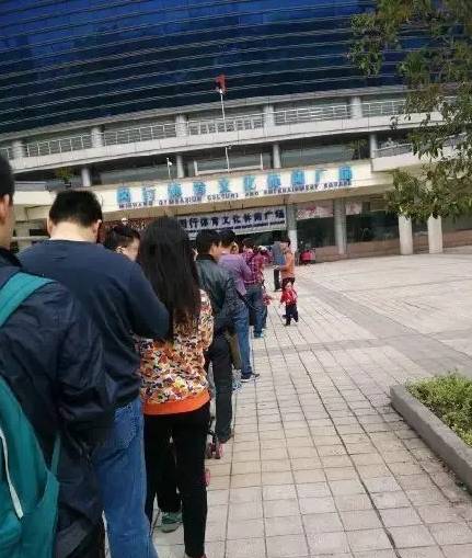 寒窗十载，不如黄牛一拍...怒摔！