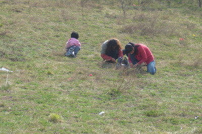 还记得，那一曲，苜蓿唱给岁月的歌
