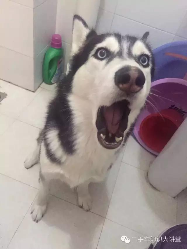 这台二手车换过悬挂、刮过底盘,但把车吊起来后,评估师惊呆了!