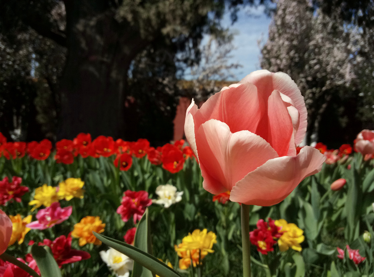 魅蓝note3参数和价格,如何评价魅蓝note3