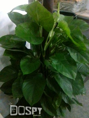 酷比魔方iwork8U80GT怎样设置高性能,酷比魔方iwork8air评测视频