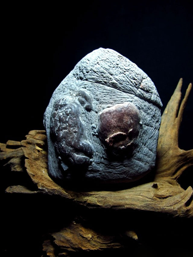 灵璧奇石珍珠,周寨灵璧珍珠石