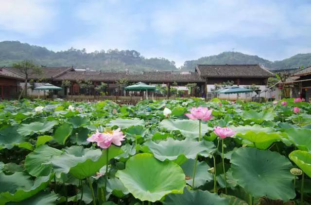 最近最火的重庆火锅,超霸气的火锅