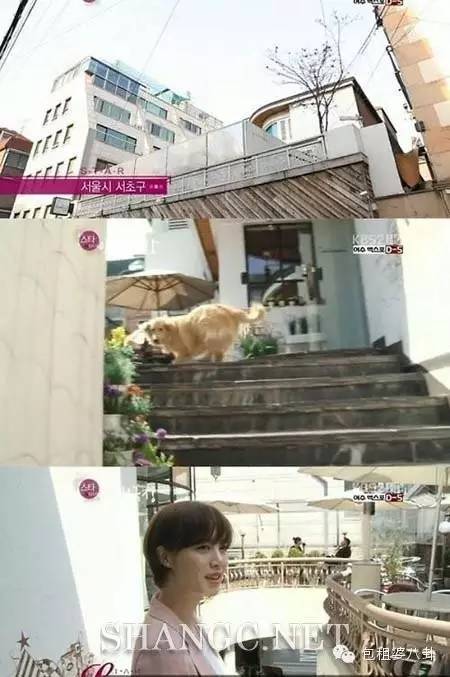 白富美“圣母”才女+温柔顾家男，具善惠和安宰贤真是天生一对！