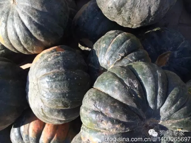 无谷粮对宠物的好处,无谷宠物粮真的好吗