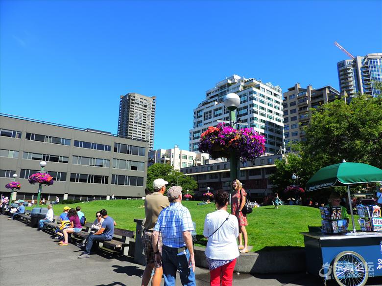 西雅图油价,西雅图油价多少钱