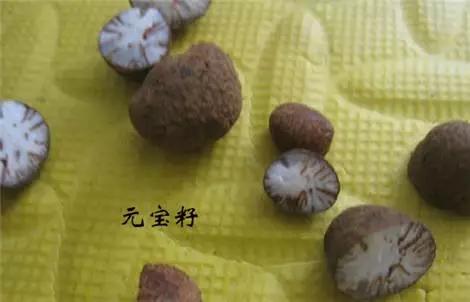 怎么样串星月好看,搭配最典雅的一串星月