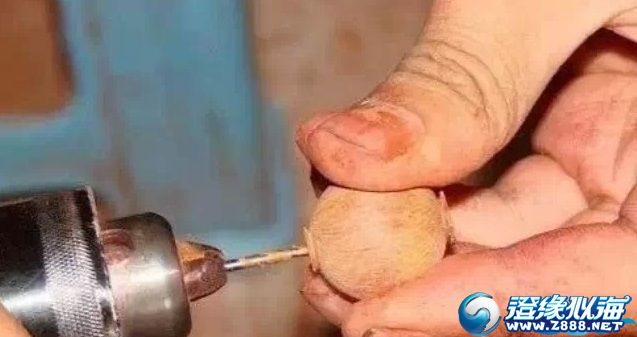 小叶紫檀做佛珠怎么样,小叶紫檀加工过程