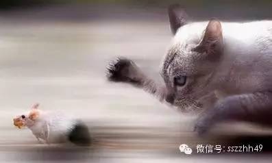 被养生会所忽悠办卡可以报警吗,经常被按摩店忽悠办卡