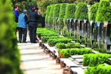 清明假期苏州旅行注意事项,清明小长假第1天苏州