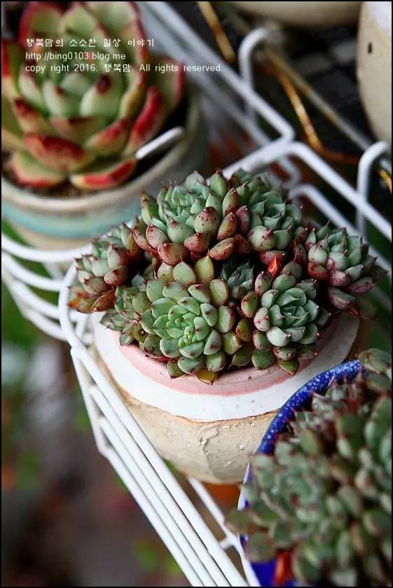 直播间不退不换的韩货,未来直播带货会持续红火吗