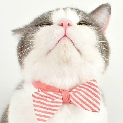 旅游攻略泰国免费,攻略带你了解最美的泰国景点