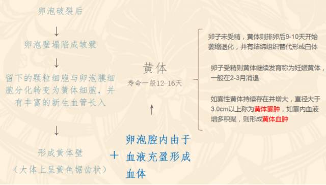 中下腹胀痛见于哪些疾病,女性下腹坠痛是不是有炎症