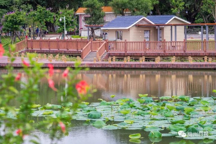 关注广东暴雨,关注广东梅州暴雨
