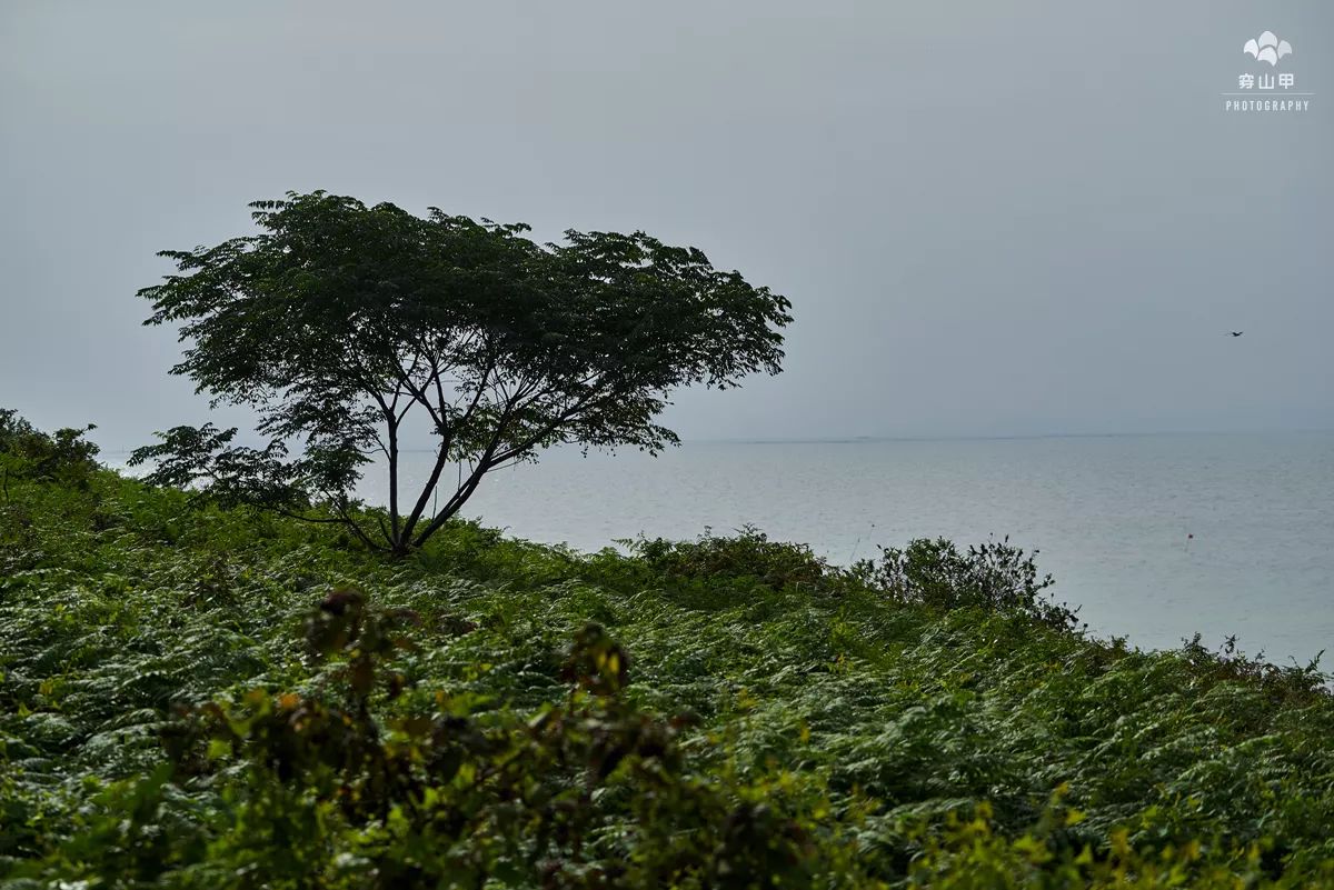 江苏省太湖一座小岛,太湖两个小岛