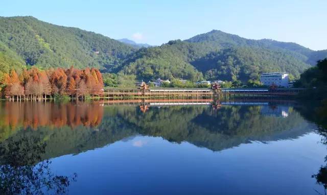 关注广东暴雨,关注广东梅州暴雨