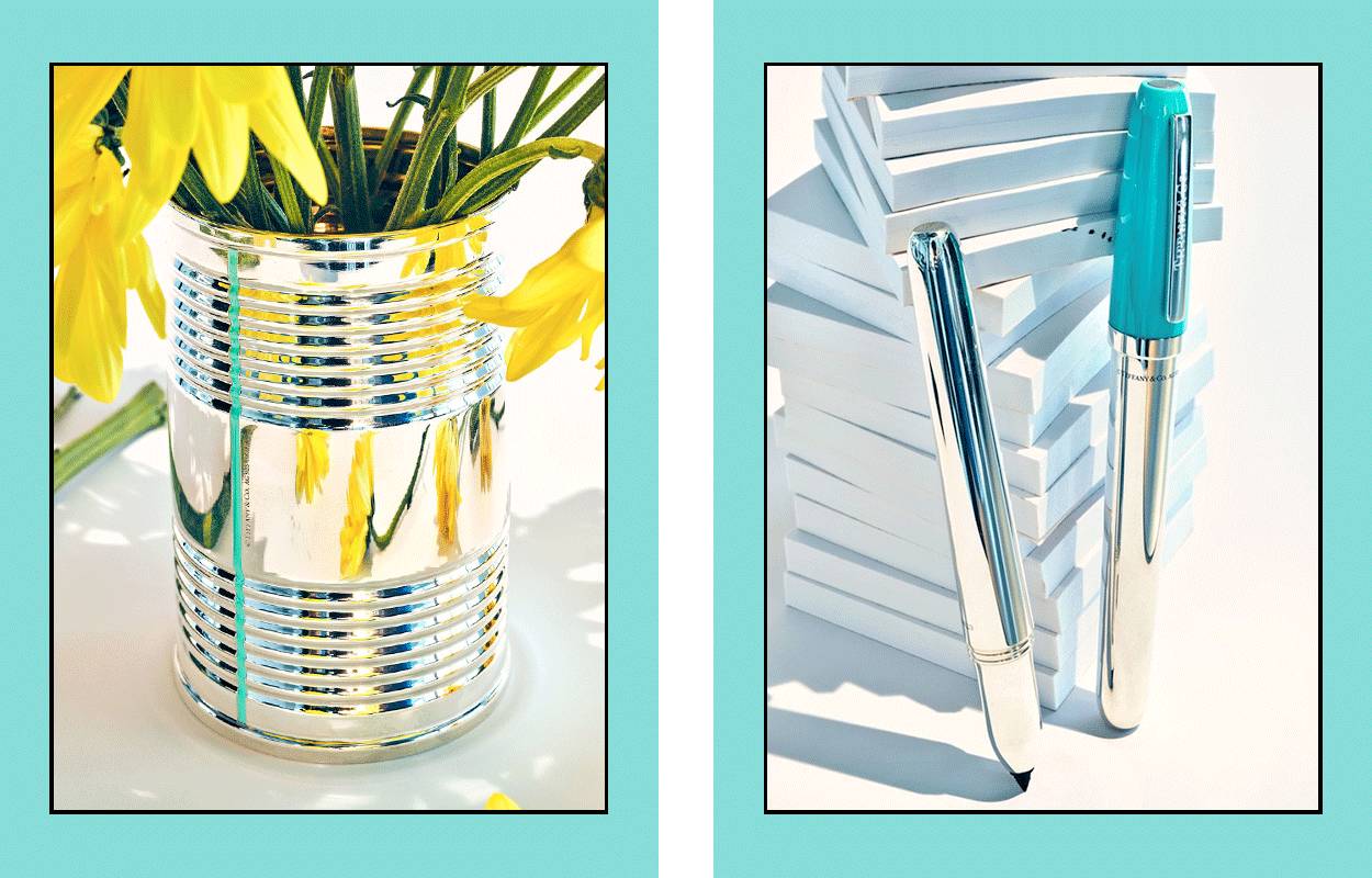 放弃吧｜别人家的猫都开始用Tiffany了