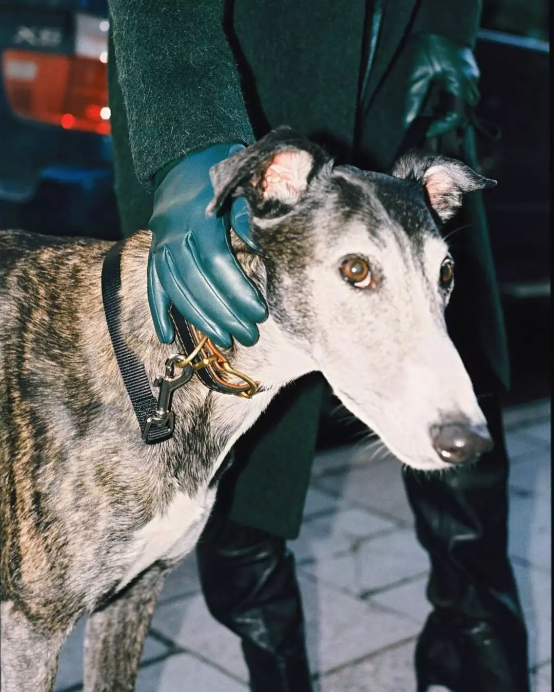 宁可捂出汗，王菲也要带着它！果然，能流行近百年真不是吹的！