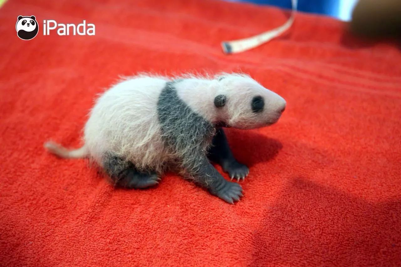 12月旅游最佳之地国内,国内1-12月最佳旅行地推荐