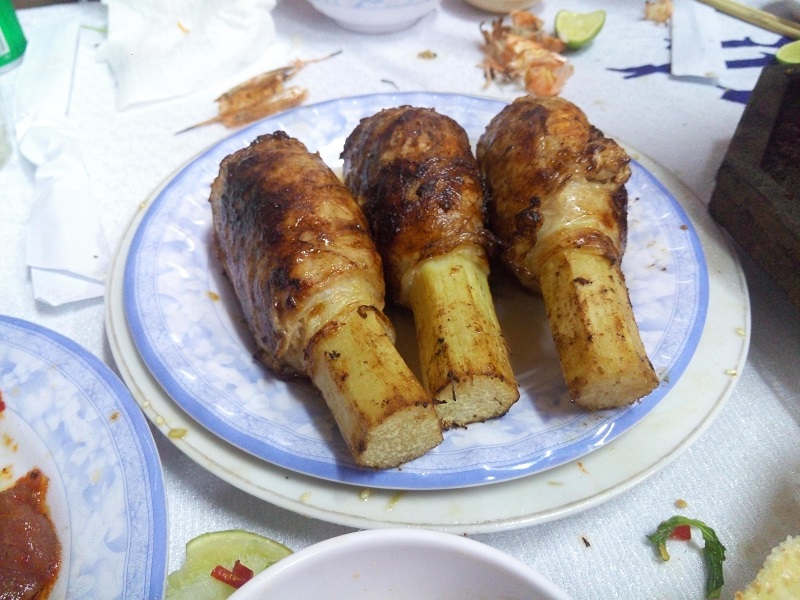 越南游记视频,越南芽庄游记作文600字