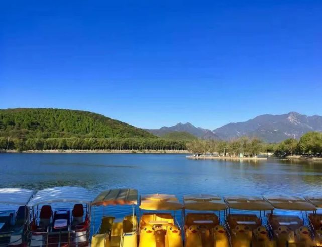 北京四个踏青必备的免费公园,北京小众湿地公园