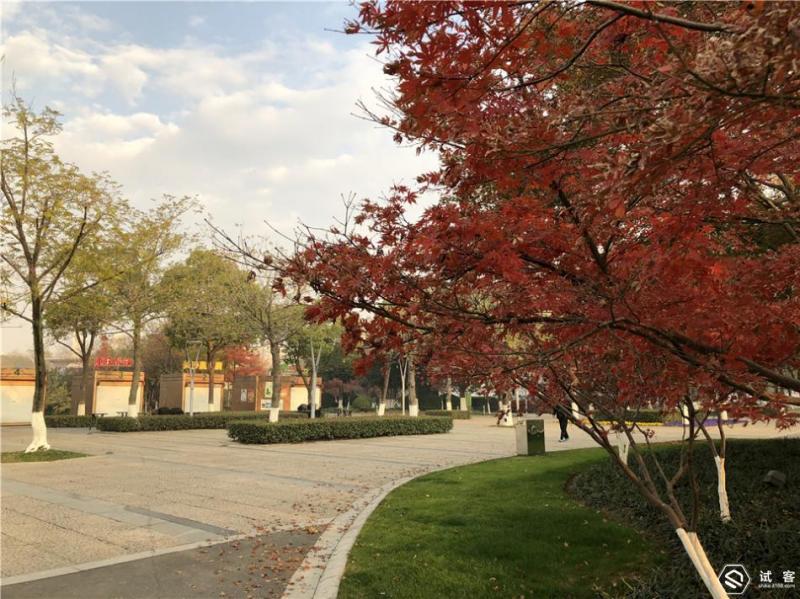 最惊艳的手机iphonex,iphonex亮相到底有多惊艳